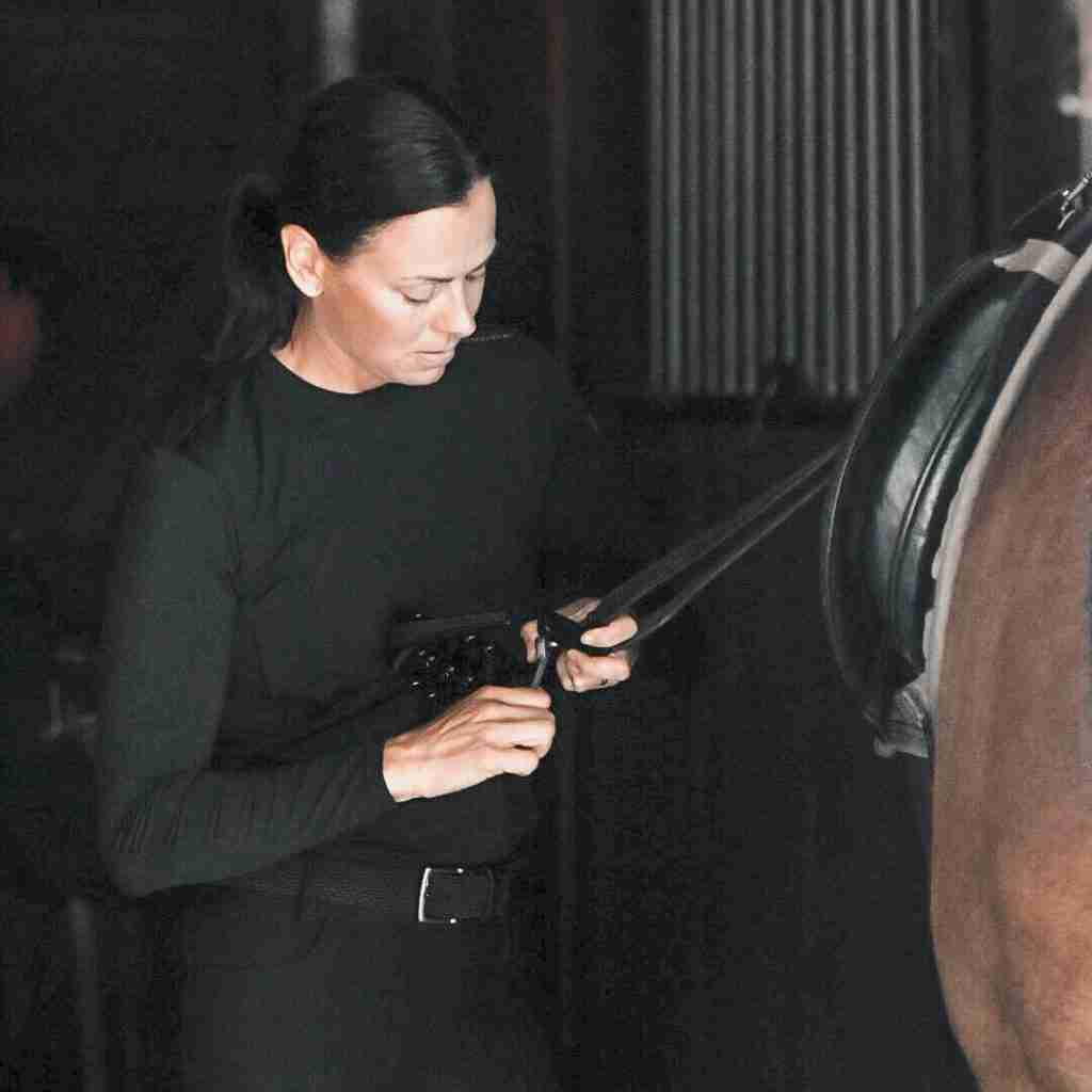 Ryde Equestrian