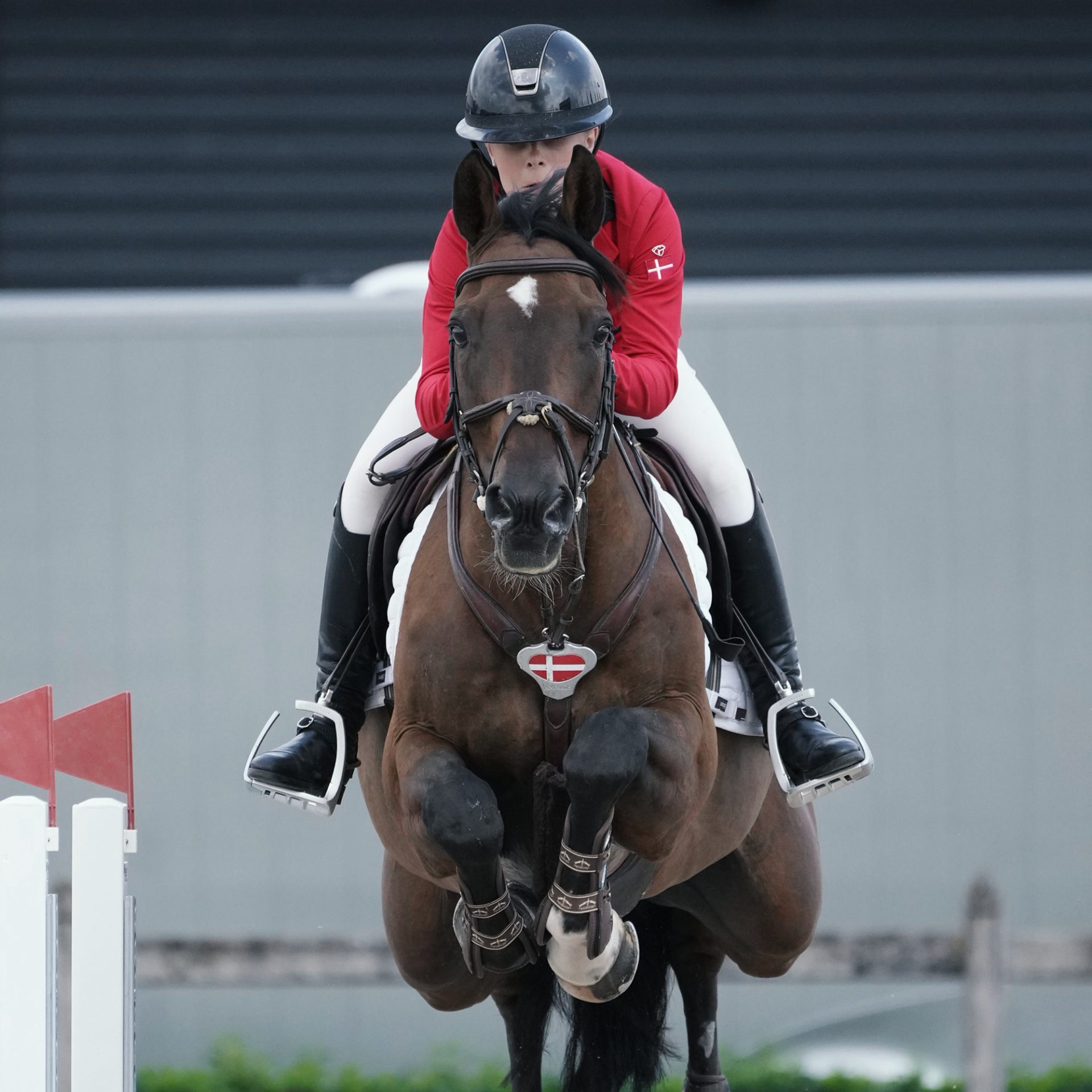 Jumping-over-fence_